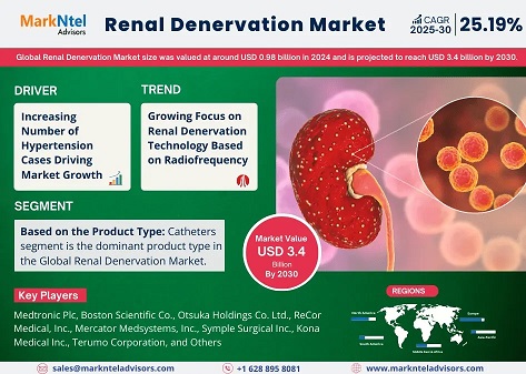 Renal Denervation Market Growth, Key Trends & Factor Driving Industry Till 2030