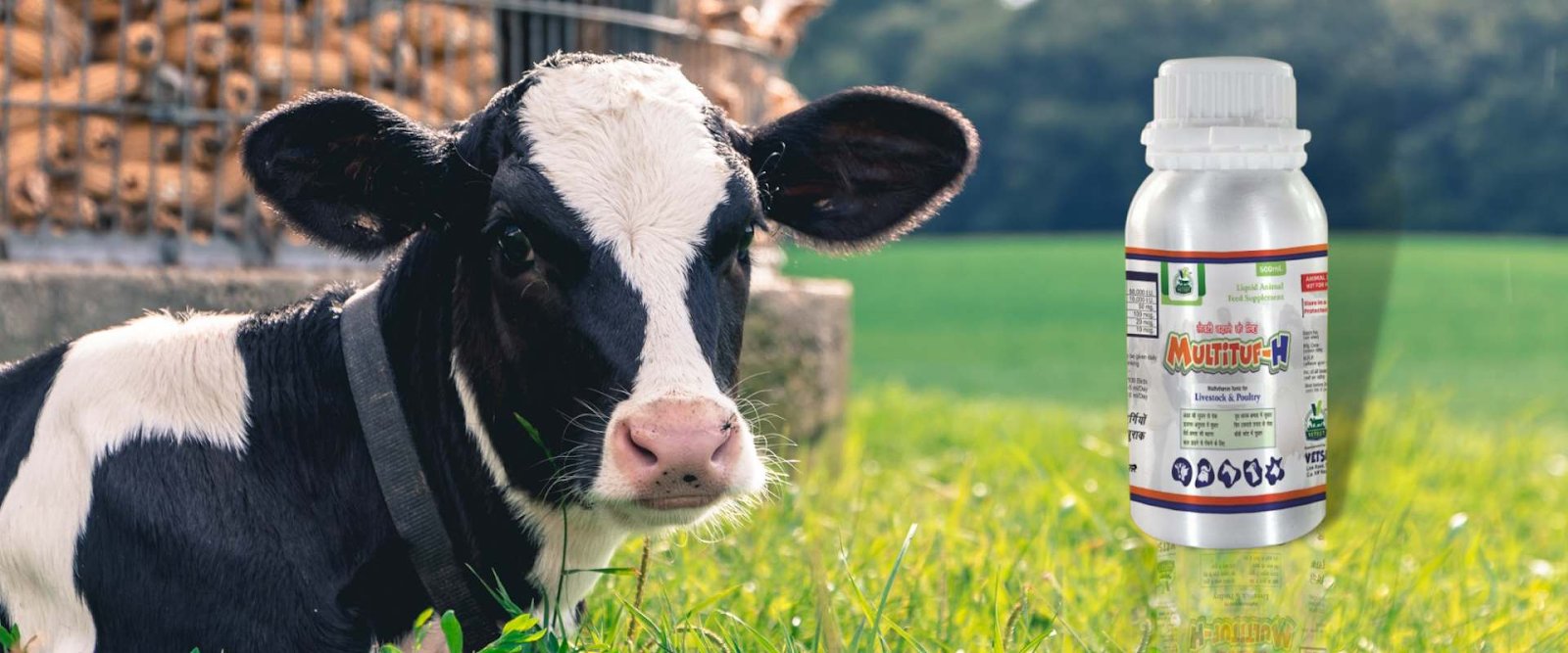 Veterinary medicine franchise