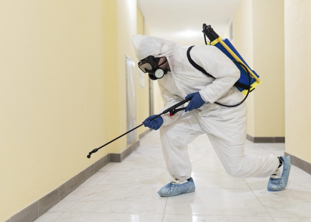 Pest control expert in Irvine removing rodents safely